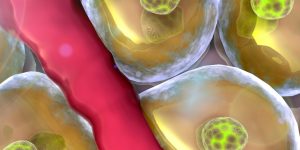 Un estudio plantea las células madre como potencial tratamiento para la diabetes.