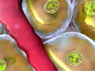 Un estudio plantea las células madre como potencial tratamiento para la diabetes.