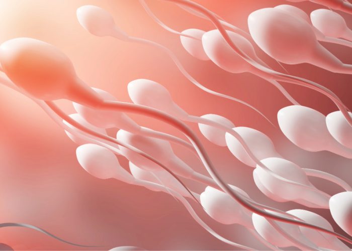 Un estudio revela cambios en el ARN de los espermatozoides asociados al envejecimiento.