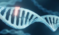 Un modelo de IA permite mejorar el diagnóstico de enfermedades ultra raras al identificar si una variante genética tiene efecto negativo en proteína.