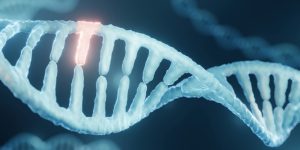 Un modelo de IA permite mejorar el diagnóstico de enfermedades ultra raras al identificar si una variante genética tiene efecto negativo en proteína.