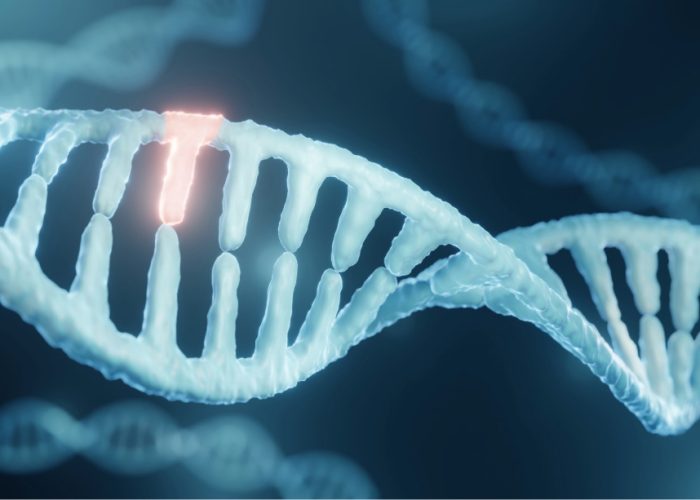 Un modelo de IA permite mejorar el diagnóstico de enfermedades ultra raras al identificar si una variante genética tiene efecto negativo en proteína.