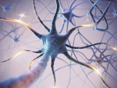Un nuevo fármaco desarrollado en españa muestra resultados prometedores en síndrome de Rett
