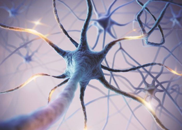 Un nuevo fármaco desarrollado en españa muestra resultados prometedores en síndrome de Rett