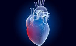 Un estudio explica por qué los infartos nocturnos son menos dañinos que los diurnos