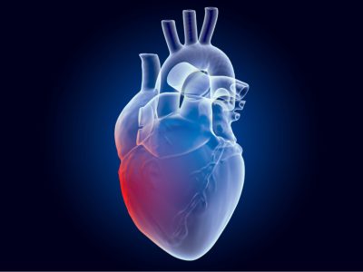 Un estudio explica por qué los infartos nocturnos son menos dañinos que los diurnos