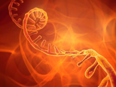 Una terapia experimental con oligonucleótidos antisentido ofrece resultados prometedores para una forma genética agresiva de esclerosis lateral amiotrófica