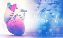 Una terapia génica dirigida al corazón ofrece resultados preliminares prometedores para la insuficiencia cardiaca