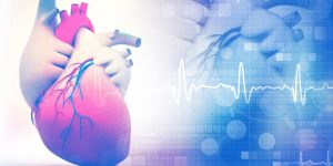 Una terapia génica dirigida al corazón ofrece resultados preliminares prometedores para la insuficiencia cardiaca