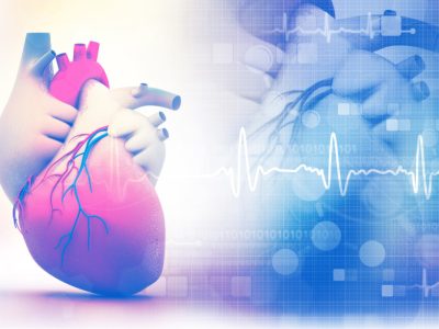 Una terapia génica dirigida al corazón ofrece resultados preliminares prometedores para la insuficiencia cardiaca