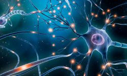 Una terapia para las causas genéticas del síndrome de Dravet podría aliviar los síntomas de la enfermedad.