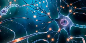 Una terapia para las causas genéticas del síndrome de Dravet podría aliviar los síntomas de la enfermedad.