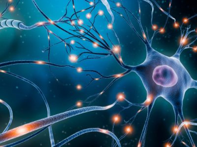 Una terapia para las causas genéticas del síndrome de Dravet podría aliviar los síntomas de la enfermedad.