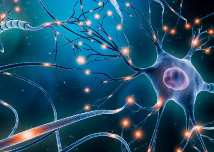 Una terapia para las causas genéticas del síndrome de Dravet podría aliviar los síntomas de la enfermedad.