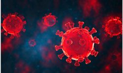 Una vacuna intranasal experimental elimina el virus del COVID-19 en ratones.