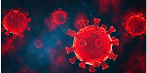 Una vacuna intranasal experimental elimina el virus del COVID-19 en ratones.