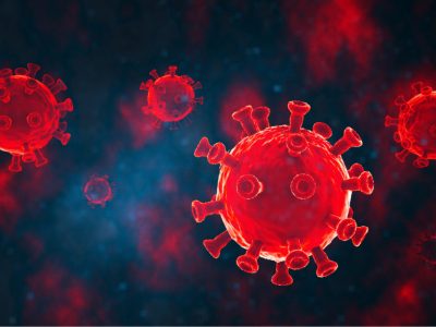 Una vacuna intranasal experimental elimina el virus del COVID-19 en ratones.