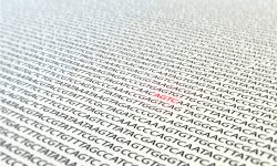 Variantes genéticas en cardiopatías congénitas