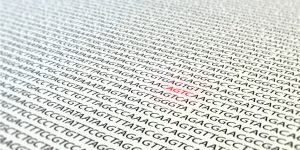 Variantes genéticas en cardiopatías congénitas