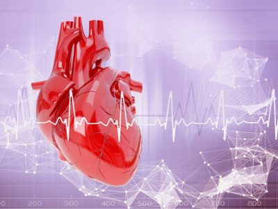 La tecnología CRISPR de activación génica puede ser empleada para tratar enfermedades genéticas cardiacas in vivo, señala un reciente estudio realizado en ratón.