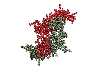 Estructura molecular de la activina A. Imagen: Protein Data Base- 2ARV, visualizada con QuteMol (http://qutemol.sourceforge.net).