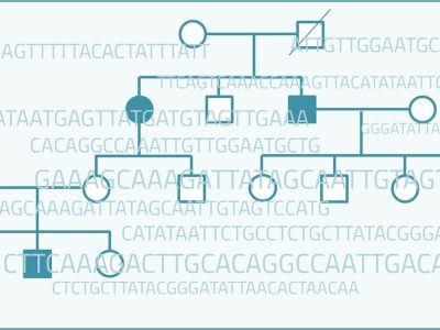 La existencia de un componente hereditario para el síndrome de Tourette se conoce desde hace tiempo. Sin embargo, hasta el momento, los estudios genómicos no habían proporcionado resultados concluyentes o reproducibles.