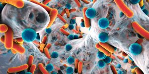 Bacterias presentes en los tumores cerebrales pueden influir en su desarrollo y respuesta a tratamiento.