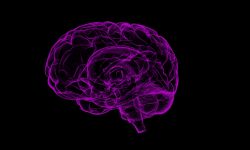 Un reciente estudio genómico aporta nuevas evidencias de que el alzhéimer puede derivar en epilepsia.