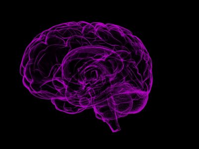 Un reciente estudio genómico aporta nuevas evidencias de que el alzhéimer puede derivar en epilepsia.