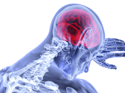 el aumento de los niveles de expresión de FKBP5 en respuesta a los niveles de cortisol en las personas con el alelo de menor frecuencia podría contribuir al desarrollo del dolor crónico. Imagen: pixabay.