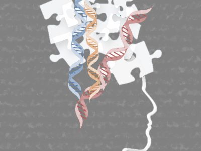 instituciones en todo el mundo encabezadas por el CIBER de Salud Mental (CIBERSAM) han elaborado un atlas que recopila numerosos factores de riesgo más allá de la genética. Imagen: Genotipia.