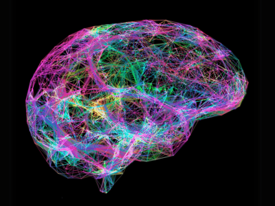 Los mapas celulares del cerebro permiten profundizar en las bases celulares de la función y disfunción cerebrales. Imagen: canva.
