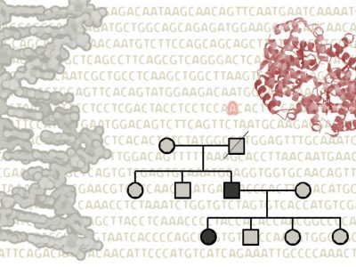El diagnóstico genético es una herramienta o elemento básico dentro del área del asesoramiento genético. Imagen: Medigene Press S.L.