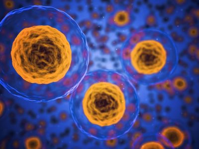 Los investigadores han desarrollado un método de secuenciación capaz de mapear gel enoma del núcleo celular.