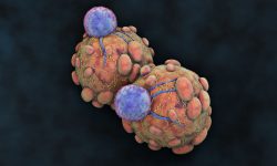 Representación de células T atacando células tumorales. Imagen: Getty Images, vía Canva.