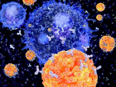 Una inmunoterapia basada en origami de ADN y anticuerpos consigue reclutar y activar los linfocitos T hacia las células diana de interés. En la imagen, célula plasmática productora de anticuerpos. Getty Images vía Canva.
