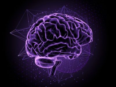 Los mapas celulares del cerebro permiten profundizar en las bases celulares de la función y disfunción cerebrales. Imagen: canva.. Imagen: Getty Images, vía canva