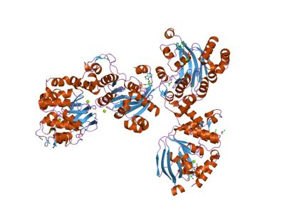 Proteína CFTR, cuyas presencia de mutaciones es responsable de la fibrosis quística.  Imagen: Jawahar Swaminathan y personal del Instituto Europeo de Bioinformática.