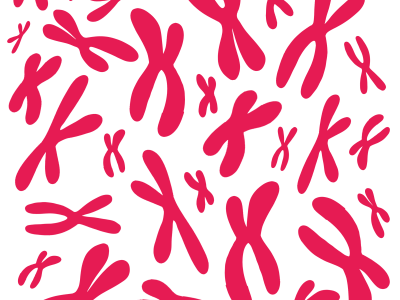 Las personas que muestran ciertos cambios cromosómicos en las células sanguíneas tienen un mayor riesgo a sufrir infecciones como la neumonía. Imagen: Rosario García, Genotipia.