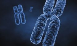 Un reciente estudio revela que el virus de Epstein-Barr induce inestabilidad genómica y roturas cromosómicas que pueden derivar en cáncer. Imagen: canva.