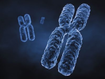 Un reciente estudio revela que el virus de Epstein-Barr induce inestabilidad genómica y roturas cromosómicas que pueden derivar en cáncer. Imagen: canva.