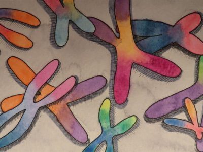 La presencia de anomalías cromosómicas aumenta la capacidad de las células tumorales para evadir el ataque del sistema inmunitario. Cromosomas. Imagen cortesía de la Dra. Veronica La Padula.