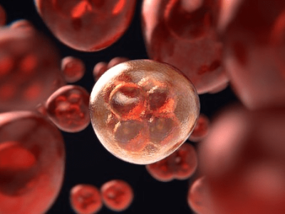 Las terapias basadas en micro-ARNs constituyen una herramienta de elevado potencial en el tratamiento de  las patologías de mayor incidencia en la actualidad. Imagen: Pixabay.