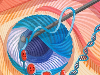 Ilustración que representa el proceso de diferenciación celular y el genoma durante el desarrollo de los organoides de la retina. Un hilo suelto que representa el ADN no compactado se enrolla con una aguja de ganchillo alrededor de botones que representan nucleosomas y culmina en una bola de cromatina fuertemente condensada que forma un ojo. Imagen: Erina He, NIH Medical Arts.