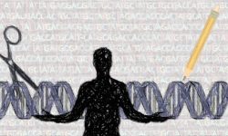 La edición del genoma ofrece múltiples beneficios potenciales, tal y como indican los resultados preliminares de diversos ensayos clínicos. Sin embargo, también plantea importantes retos éticos y relacionados con su seguridad. Imagen: Genotipia.