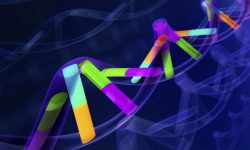 El reanálisis de genomas humanos con técnicas más avanzadas y precisas ha permitido ampliar el catálogo de variación genética.