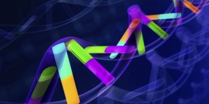 El reanálisis de genomas humanos con técnicas más avanzadas y precisas ha permitido ampliar el catálogo de variación genética.