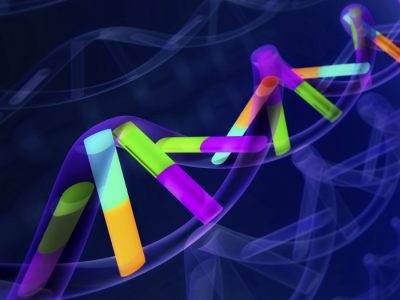 El reanálisis de genomas humanos con técnicas más avanzadas y precisas ha permitido ampliar el catálogo de variación genética.