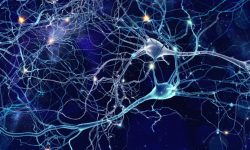 El tofersen muestra resultados prometedores a largo plazo para el tratamiento de la ELA causada por mutaciones en el gen SOD1