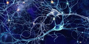 El tofersen muestra resultados prometedores a largo plazo para el tratamiento de la ELA causada por mutaciones en el gen SOD1